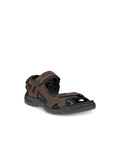 GR[ Y V[Y T_ Ecco Men's Yucatan Sandals Black Mole ubN