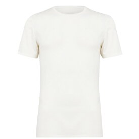 【送料無料】 アイスブレーカー メンズ Tシャツ トップス Anatomica Short Sleeve T Shirt Snow