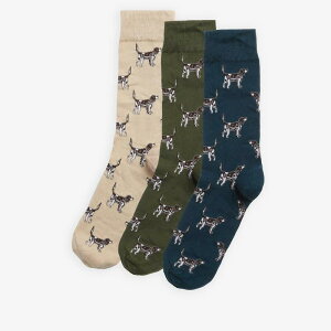 �o�u�A�[ �����Y �A���_�[�E�F�A �C�� Barbour Pointer Dog Socks Gift Box Forest Mist �t�H���X�g