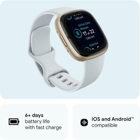 フィットビット レディース アクセサリー 腕時計 Fitbit Sense 2 Blue mist / Soft Gold ゴールド