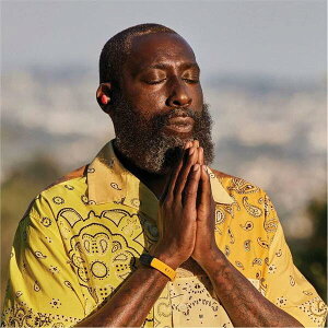 �t�B�b�g�r�b�g ���f�B�[�X �A�N�Z�T���[ �r���v Fitbit Inspire 3 Morninglow Black �u���b�N