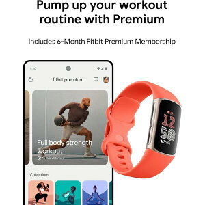 �t�B�b�g�r�b�g ���f�B�[�X �A�N�Z�T���[ �r���v Fitbit 6 Fitness Tracker witheart Rate GPS Premiumembership and Health Tools Gold �S�[���h