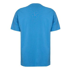 �I���W�i���y���M�� �����Y �g�b�v�X T�V���c Original Penguin Basic T-Shirt Parisian Blue �u���[