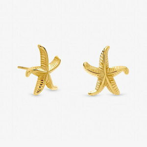 �W�������`���[�h ���f�B�[�X �A�N�Z�T���[ �s�A�X�E�C�������O Jon Richard Gold Plated Waterproof Coastal Starfish Earrings Gold �S�[���h