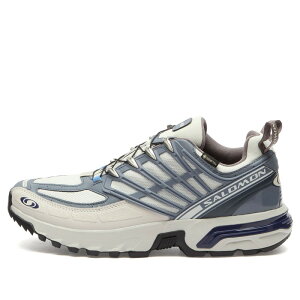 �T������ �����Y �V���[�Y �X�j�[�J�[ Salomon ACS PRO GTX Sneaker Lunarock Grisaille & Plum Kitten �v����