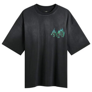 �A�~�� �����Y �g�b�v�X T�V���c AMIRI Flames T-Shirt Black �u���b�N