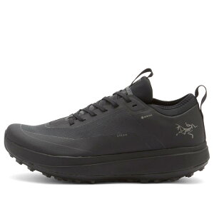 �A�[�N�e���N�X �����Y �V���[�Y �X�j�[�J�[ Arcteryx Arc'teryx Sylan Gore-Tex Black �u���b�N