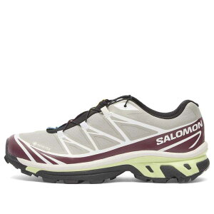 �T������ �����Y �V���[�Y �X�j�[�J�[ Salomon XT-6 GTX Sneaker Palomaroon Banner & Butterfly �}���[��