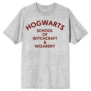 �A�j���L�����N�^�[ ���f�B�[�X �g�b�v�X T�V���c Licensed Character Men's Harry Potter Hogwarts Witchcraft & Wizardry Tee Grey �O���[