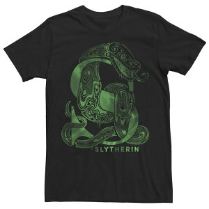 �A�j���L�����N�^�[ ���f�B�[�X �g�b�v�X T�V���c ���S Licensed Character Men's Harry Potter Deathly Hallows 2 Slytherin Green Hue Logo Tee Black �u���b�N