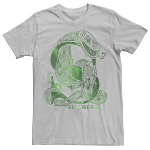 �A�j���L�����N�^�[ ���f�B�[�X �g�b�v�X T�V���c ���S Licensed Character Men's Harry Potter Deathly Hallows 2 Slytherin Green Hue Logo Tee Silver �V���o�[