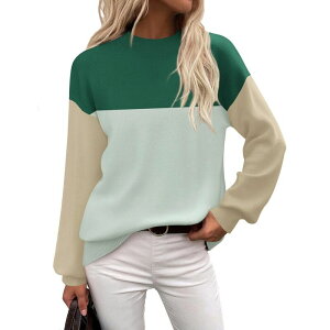 �W�[�O�[ ���f�B�[�X �A�E�^�[ �j�b�g�E�Z�[�^�[�g���l�b�N Zeagoo Women's Long Sleeve Turtleneck Lantern Knit Pullover Sweater Tops Blue Green �u���[
