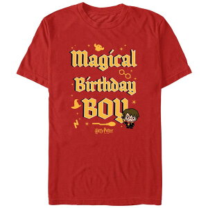 �A�j���L�����N�^�[ ���f�B�[�X �g�b�v�X T�V���c �O���t�B�b�N Licensed Character Men's Harry Potter Magical Birthday Boy Graphic Tee Red ���b�h