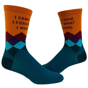 �N���C�W�[�h�b�O T�V���c ���f�B�[�X �A���_�[�E�F�A �C�� Crazy Dog T-Shirts Women's I Came I Saw I Forgot What I Was Doing Socks Funny Introvert Sarcastic Novelty Footwear Multi �}���`�J���[