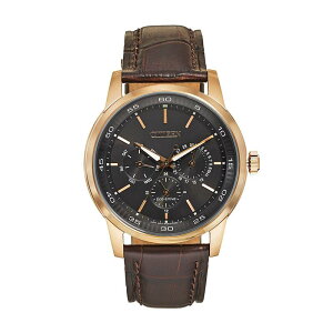 V`Y Y ANZT[ rv U[ Citizen Eco-Drive Men's Leather Watch Brown uE