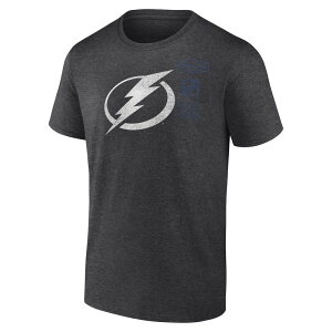 �t�@�i�e�B�N�X �����Y �g�b�v�X T�V���c ���S Men's Fanatics Tampa Bay Lightning NHL Origin Heritage Logo Tee Lgh Gray �O���[