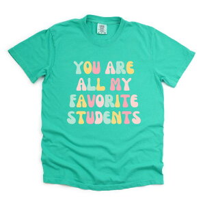 Simply Sage Market ���f�B�[�X �g�b�v�X T�V���c Simply Sage Market Favorite Students Colorful Garment Dyed Tee Island Green �O���[��