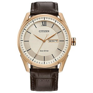 yz V`Y Y rv ANZT[ Citizen Eco-Drive Men's Brown Leather Strap Watch Natural