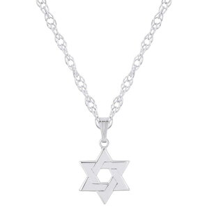 yz Celebration Gems fB[X lbNXE`[J[Ey_ggbv ANZT[ Celebration Gems Sterling Silver Star of David Pendant Necklace Sterling