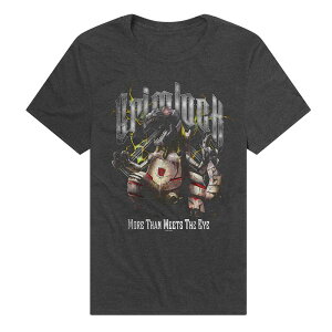 �A�j���L�����N�^�[ �����Y �g�b�v�X T�V���c �O���t�B�b�N Licensed Character Men's Transformers Grimlock Graphic Tee Charcoal �`���R�[��