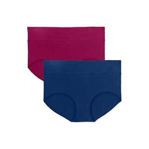 �R���t�H�[�g �`���C�X ���f�B�[�X �A���_�[�E�F�A �p���c �v���X�T�C�Y �R�b�g�� Comfort Choice Plusize Cotton Spandex Comfort Waist Brief 2-Pack Fall Pack