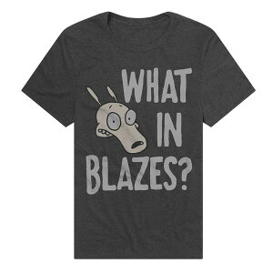 �A�j���L�����N�^�[ �����Y �g�b�v�X T�V���c �O���t�B�b�N Licensed Character Men's Rocko's Modern Life What In Blazes Graphic Tee Charcoal �`���R�[��