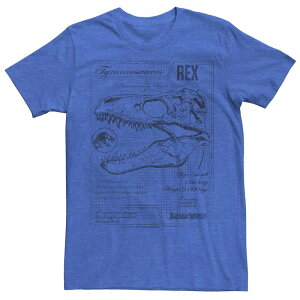 �A�j���L�����N�^�[ �����Y �g�b�v�X T�V���c ���B���e�[�W Licensed Character Men's Jurassic World Two T-Rex Vintage Graph Tee Royal Heather �w�U�[