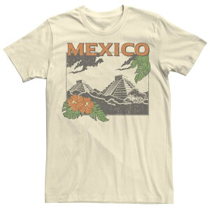 �A�j���L�����N�^�[ �����Y �g�b�v�X T�V���c Licensed Character Men's Travel Apparel Mexico Pyramids Poster Tee Natural