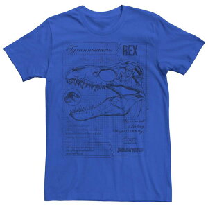 �A�j���L�����N�^�[ �����Y �g�b�v�X T�V���c ���B���e�[�W Licensed Character Men's Jurassic World Two T-Rex Vintage Graph Tee Royal