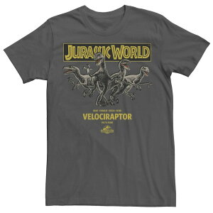 �A�j���L�����N�^�[ �����Y �g�b�v�X T�V���c Licensed Character Men's Jurassic World Blue Charlie Delta & Echo Pack Tee Charcoal �`���R�[��