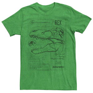 �A�j���L�����N�^�[ �����Y �g�b�v�X T�V���c ���B���e�[�W Licensed Character Men's Jurassic World Two T-Rex Vintage Graph Tee Kelly Heather �w�U�[