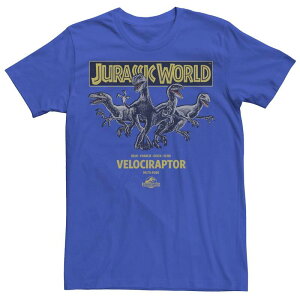 �A�j���L�����N�^�[ �����Y �g�b�v�X T�V���c Licensed Character Men's Jurassic World Blue Charlie Delta & Echo Pack Tee Royal �u���[