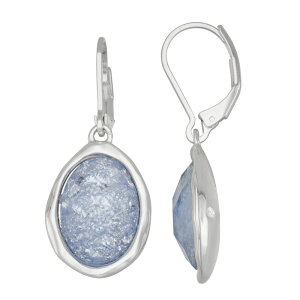 �l�[�s�A ���f�B�[�X �A�N�Z�T���[ �s�A�X�E�C�������O Napier Silver-Tone Simulated Blue Gemstone Leverback Single Drop Earrings Blue �u���[