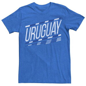 �A�j���L�����N�^�[ ���f�B�[�X �g�b�v�X T�V���c ���S Licensed Character Men's Gonzales Uruguay Slanted Stripe Logo Tee Royal Heather �w�U�[