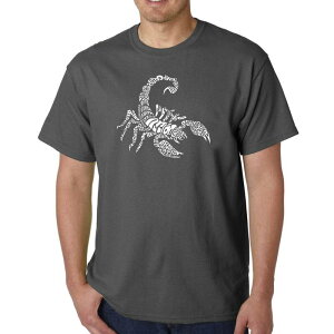 �G���G�[�|�b�v�A�[�g ���f�B�[�X �g�b�v�X T�V���c LA Pop Artypes Of Scorpions - Men's Word Art-shirt Grey �O���[