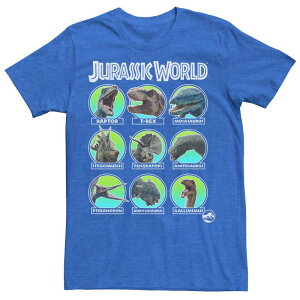 �A�j���L�����N�^�[ ���f�B�[�X �g�b�v�X T�V���c Licensed Character Men's Jurassic World Two Dino Heads Chartee Royal Heather �w�U�[