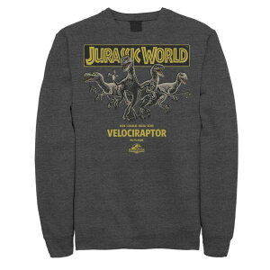 �A�j���L�����N�^�[ ���f�B�[�X �g�b�v�X T�V���c �X�E�F�b�g Licensed Character Men's Jurassic World Blue Charlie Delta & Echo Pack Sweatshirt Charcoal Heather �`���R�[��