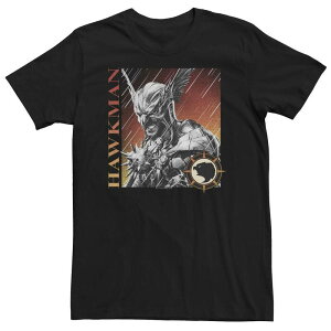 �A�j���L�����N�^�[ ���f�B�[�X �g�b�v�X T�V���c �g�[�� Licensed Character Big & Tall Black Adam Hawkman Grin Poster Tee Black �u���b�N