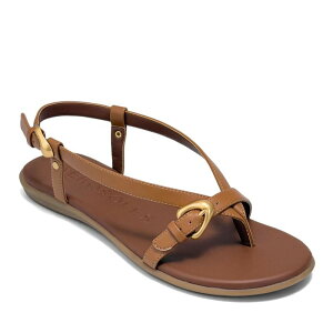 �G�A���\�[���Y ���f�B�[�X �V���[�Y �T���_�� Aerosoles Iride Women's Thong Sandals With Buckle Accentan �^��