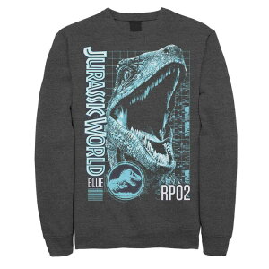 �A�j���L�����N�^�[ ���f�B�[�X �g�b�v�X T�V���c �X�E�F�b�g Licensed Character Men's Jurassic World Two Blue Face Tech Schematic Sweatshirt Charcoal Heather �`���R�[��