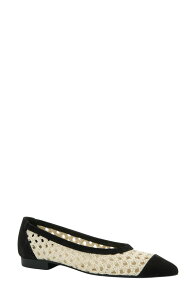 �|�[���E�O���[�� ���f�B�[�X �V���[�Y �p���v�X Paul Green Daisy Pointed Toe Flat Black Nature Diva Nubuk �u���b�N