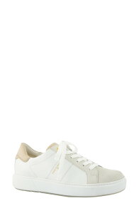 �|�[���E�O���[�� ���f�B�[�X �V���[�Y �X�j�[�J�[ Paul Green Dashing Low Top Sneaker Milk White Combo �z���C�g