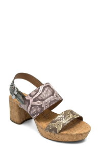�G�A���\�[���Y ���f�B�[�X �V���[�Y �q�[�� �v���b�g�t�H�[�� �T���_�� Aerosoles Camera Platform Sandal Multi Snake Print �}���`�J���[
