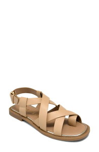 �G�A���\�[���Y ���f�B�[�X �V���[�Y �T���_�� Aerosoles Cargo Toe Loop Sandal Beige Bisque Fx Nappa �x�[�W��
