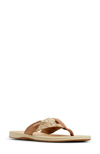 �X�y���[ ���f�B�[�X �V���[�Y �T���_�� Sperry 'Parrotfish' Thong Sandal Sahara/ Gold Leather Smooth �S�[���h