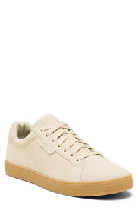 �\���� �����Y �V���[�Y �X�j�[�J�[ SOREL Cyprus LX Sneaker Bleached Ceramic/ Gum