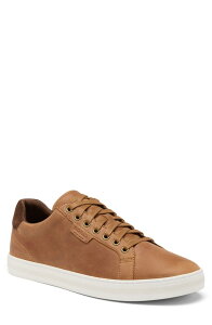 �\���� �����Y �V���[�Y �X�j�[�J�[ SOREL Cyprus LX Sneaker Velvetan/ Sea Salt �^��