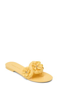 �W���b�N���W���[�X ���f�B�[�X �V���[�Y �T���_�� Jack Rogers Amelia Flower Jelly Sandal (Women) YELLOW �C�G���[