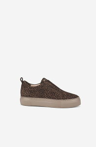 �G�[�W�[�G�� ���f�B�[�X �V���[�Y �X�j�[�J�[ AGL Clementina sneaker (Women) Leo Print