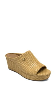 �G�A���\�[���Y ���f�B�[�X �V���[�Y �q�[�� �T���_�� Aerosoles Cafe Woven Wedge Sandal Natural